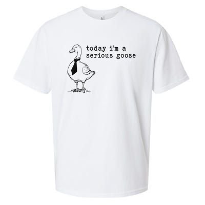 Today IM A Serious Goose Funny Humor Design Sueded Cloud Jersey T-Shirt