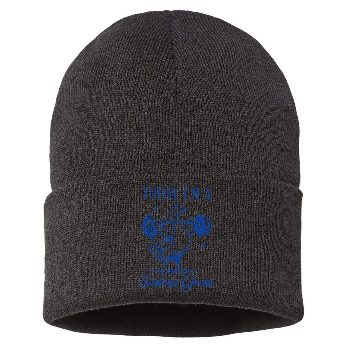 Today IM A Serious Goose Funny Lifting Weights Gym Fitness Sustainable Knit Beanie