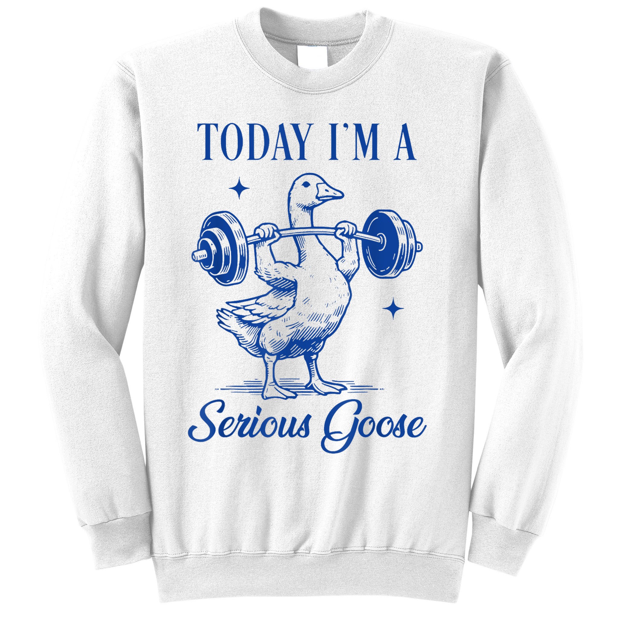 Today IM A Serious Goose Funny Lifting Weights Gym Fitness Sweatshirt