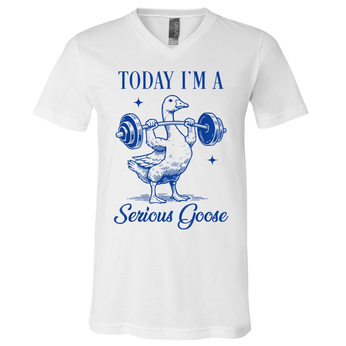 Today IM A Serious Goose Funny Lifting Weights Gym Fitness V-Neck T-Shirt