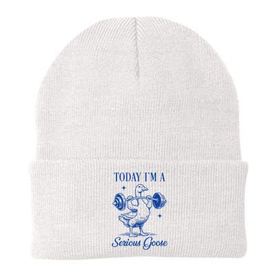 Today IM A Serious Goose Funny Lifting Weights Gym Fitness Beanie
