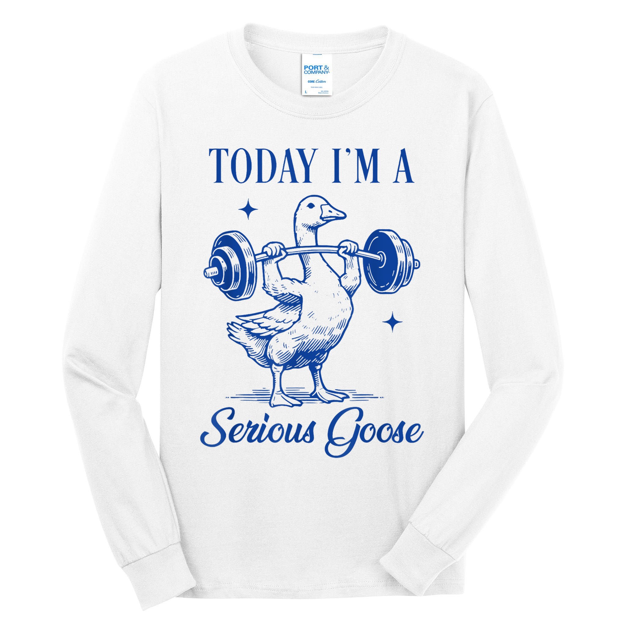 Today IM A Serious Goose Funny Lifting Weights Gym Fitness Tall Long Sleeve T-Shirt