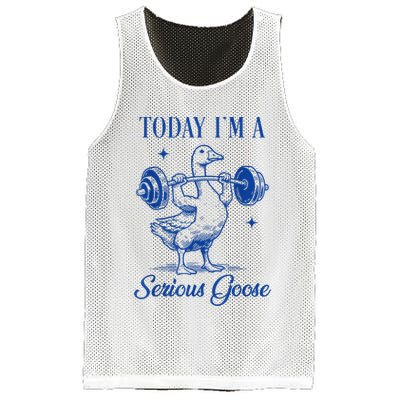 Today IM A Serious Goose Funny Lifting Weights Gym Fitness Mesh Reversible Basketball Jersey Tank