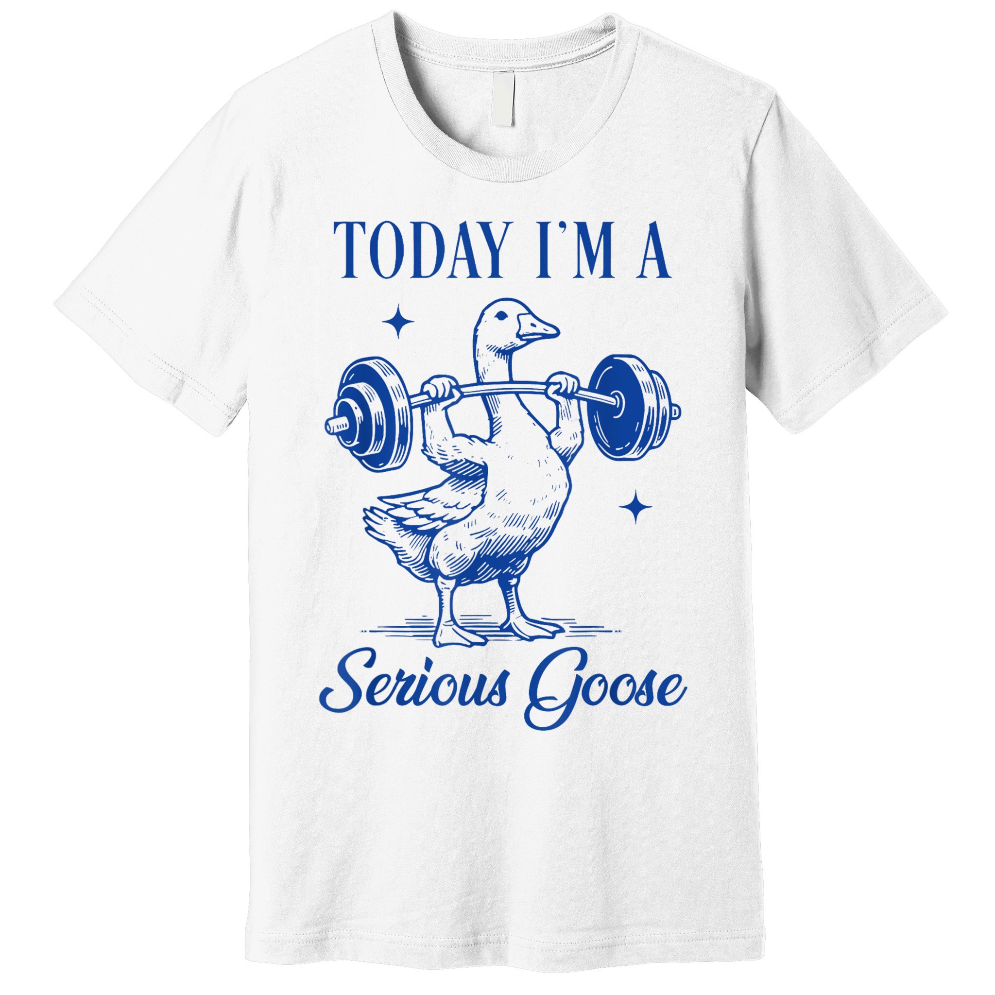 Today IM A Serious Goose Funny Lifting Weights Gym Fitness Premium T-Shirt