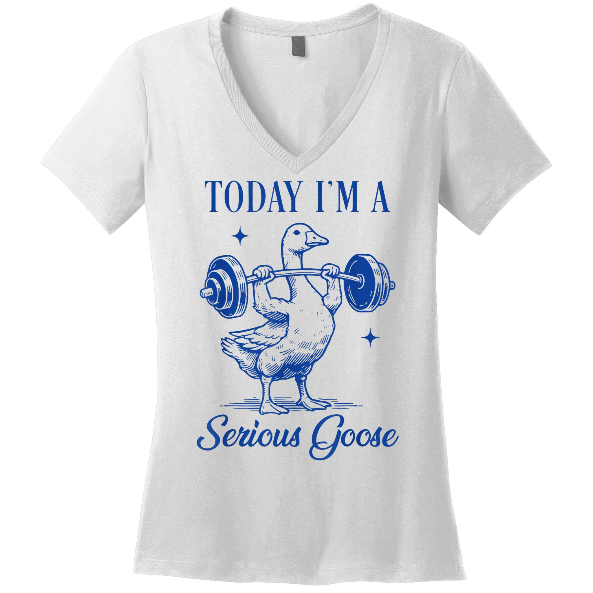 Today IM A Serious Goose Funny Lifting Weights Gym Fitness Women's V-Neck T-Shirt