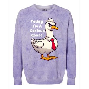 Today I Am A Serious Goose Funny Oddly Specific Dank Meme Colorblast Crewneck Sweatshirt