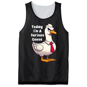 Today I Am A Serious Goose Funny Oddly Specific Dank Meme Mesh Reversible Basketball Jersey Tank