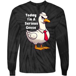 Today I Am A Serious Goose Funny Oddly Specific Dank Meme Tie-Dye Long Sleeve Shirt