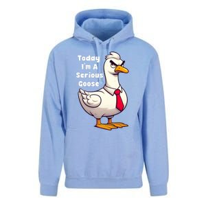 Today I Am A Serious Goose Funny Oddly Specific Dank Meme Unisex Surf Hoodie