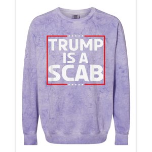 Trump Is A Scab Colorblast Crewneck Sweatshirt