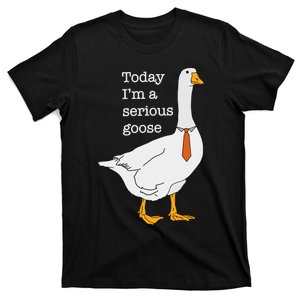 Today IM A Serious Goose Silly Goose T-Shirt