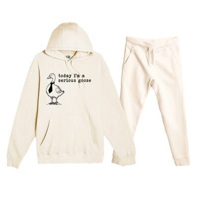 Today IM A Serious Goose Premium Hooded Sweatsuit Set