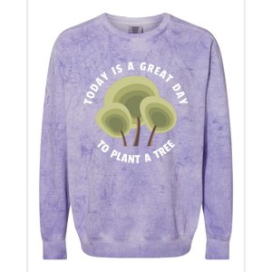 Today Is A Great Day To Plant A Tree Gift Earth Day Meaningful Gift Colorblast Crewneck Sweatshirt