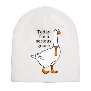 Today IM A Serious Goose Short Acrylic Beanie