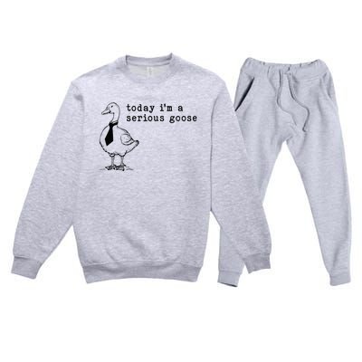 Today IM A Serious Goose Premium Crewneck Sweatsuit Set