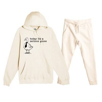 Today IM A Serious Goose Premium Hooded Sweatsuit Set