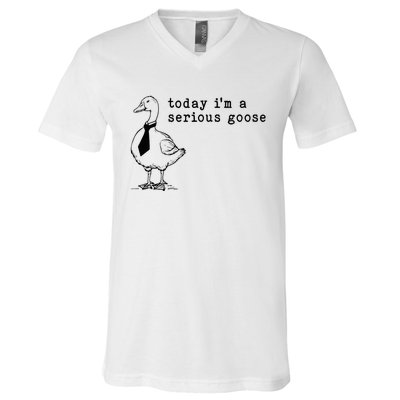 Today IM A Serious Goose V-Neck T-Shirt