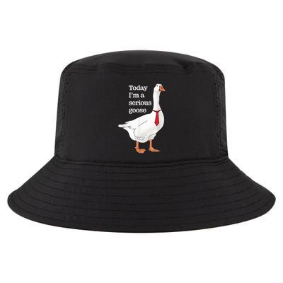 Today I Am A Serious Goose Funny Oddly Specific Dank Meme Cool Comfort Performance Bucket Hat