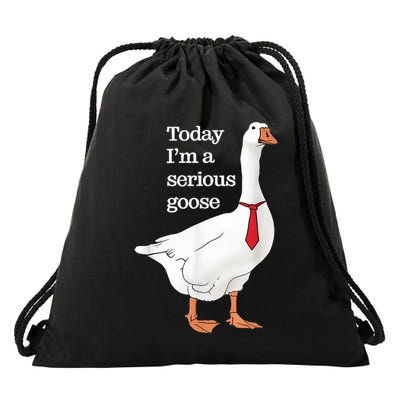 Today I Am A Serious Goose Funny Oddly Specific Dank Meme Drawstring Bag
