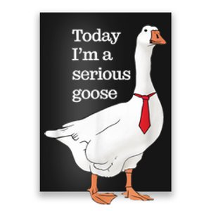 Today I Am A Serious Goose Funny Oddly Specific Dank Meme Poster