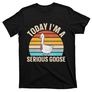 Today IM A Serious Goose T-Shirt