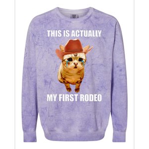 This Is Actually My First Rodeo Cowboy Cat Meme Colorblast Crewneck Sweatshirt