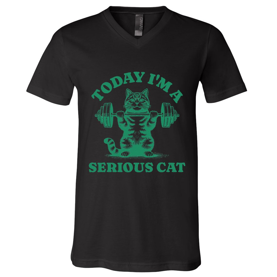 Today IM A Serious Cat Lifting Weights Gym Fitness V-Neck T-Shirt