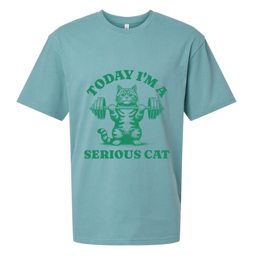 Today IM A Serious Cat Lifting Weights Gym Fitness Sueded Cloud Jersey T-Shirt