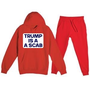 Trump Is A Scab Vote Harris Kamala 2024 Funny Premium Hooded Sweatsuit Set