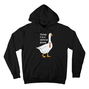 Today Im A Serious Goose Silly Goose Hoodie