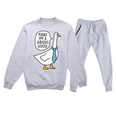 Today Im A Serious Goose Funny Serious Goose Premium Crewneck Sweatsuit Set