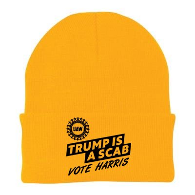 Trump Is A Scab Uaw Vote Kamala Harris 2024 Election Knit Cap Winter Beanie