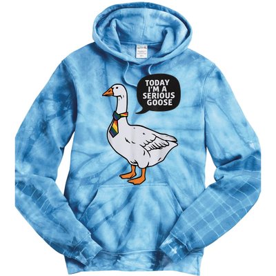 Today IM A Serious Goose Lgbt Cute Funny Serious Goose Tie Dye Hoodie