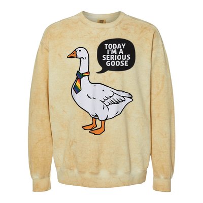 Today IM A Serious Goose Lgbt Cute Funny Serious Goose Colorblast Crewneck Sweatshirt