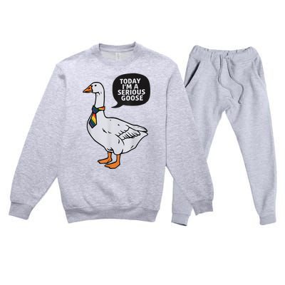 Today IM A Serious Goose Lgbt Cute Funny Serious Goose Premium Crewneck Sweatsuit Set