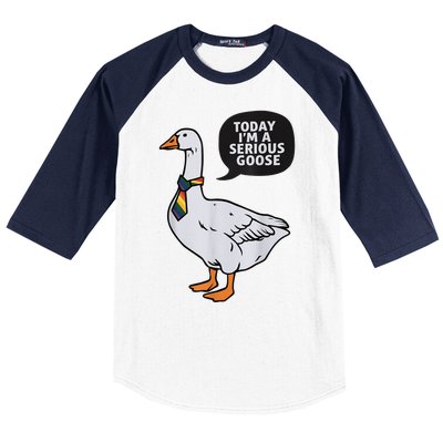 Today IM A Serious Goose Lgbt Cute Funny Serious Goose Baseball Sleeve Shirt