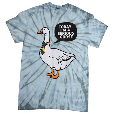 Today IM A Serious Goose Lgbt Cute Funny Serious Goose Tie-Dye T-Shirt