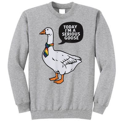 Today IM A Serious Goose Lgbt Cute Funny Serious Goose Tall Sweatshirt