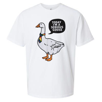 Today IM A Serious Goose Lgbt Cute Funny Serious Goose Sueded Cloud Jersey T-Shirt