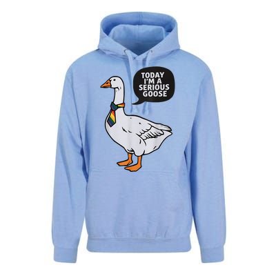 Today IM A Serious Goose Lgbt Cute Funny Serious Goose Unisex Surf Hoodie