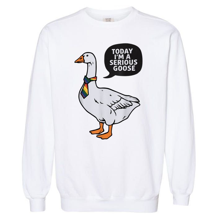 Today IM A Serious Goose Lgbt Cute Funny Serious Goose Garment-Dyed Sweatshirt