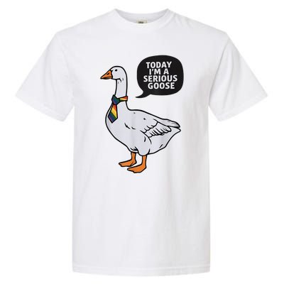 Today IM A Serious Goose Lgbt Cute Funny Serious Goose Garment-Dyed Heavyweight T-Shirt