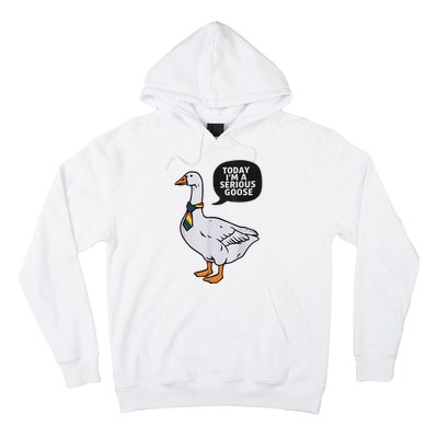 Today IM A Serious Goose Lgbt Cute Funny Serious Goose Hoodie