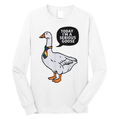 Today IM A Serious Goose Lgbt Cute Funny Serious Goose Long Sleeve Shirt