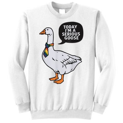 Today IM A Serious Goose Lgbt Cute Funny Serious Goose Sweatshirt