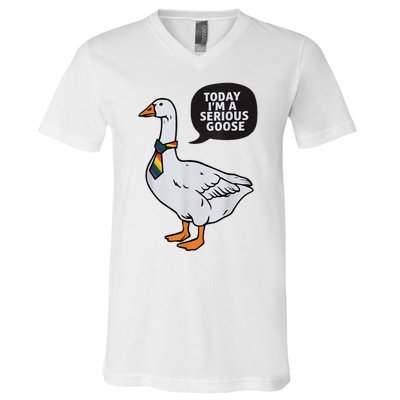 Today IM A Serious Goose Lgbt Cute Funny Serious Goose V-Neck T-Shirt