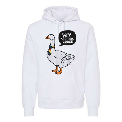 Today IM A Serious Goose Lgbt Cute Funny Serious Goose Premium Hoodie