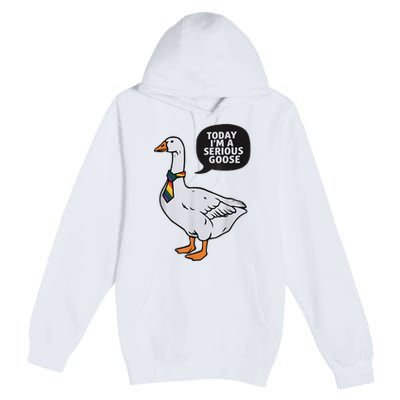 Today IM A Serious Goose Lgbt Cute Funny Serious Goose Premium Pullover Hoodie