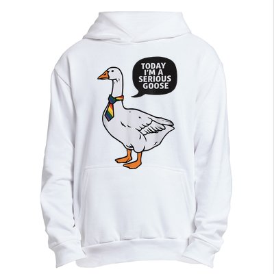 Today IM A Serious Goose Lgbt Cute Funny Serious Goose Urban Pullover Hoodie