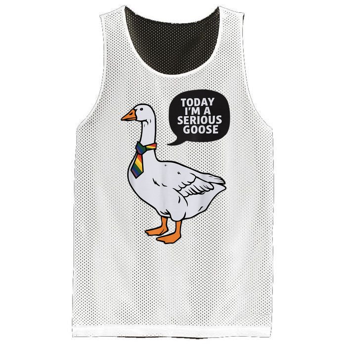 Today IM A Serious Goose Lgbt Cute Funny Serious Goose Mesh Reversible Basketball Jersey Tank